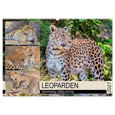 Leoparden. Geschmeidig, kräftig und klug (Wandkalender 2027 DIN A2 quer), CALVENDO Monatskalender