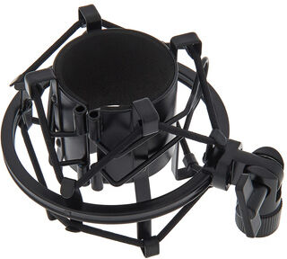 the t.bone SSM 2