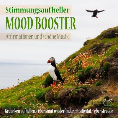 Mood Booster (Stimmungsaufheller) Affirmationen und schöne Musik - Gedanken aufhellen, Lebensmut wiederfinden - Torsten Abrolat, Audio, 4066004874975