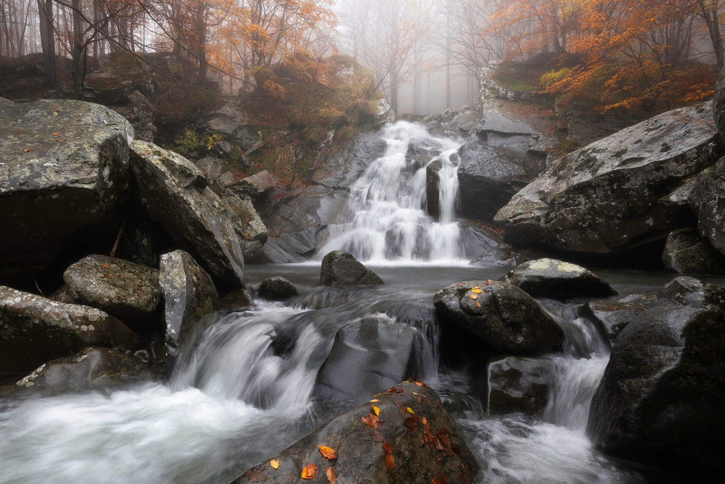 Fototapete PAPERMOON "Photo-Art FRANCESCO TAVANI, HERBSTNEBEL", bunt, B:2m L:1,49m, Vlies, Tapeten, Fototapete bunt B/L: 2m x 1,49m, Bahnen: 4 Stk.