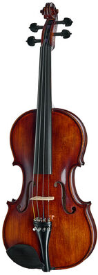 Roth & Junius Bird`s Eye Maple Violin St/E