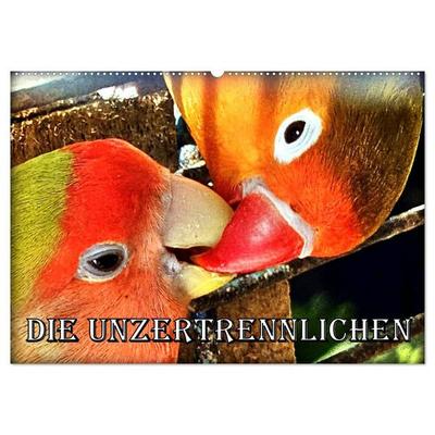 Die Unzertrennlichen (Wandkalender 2027 DIN A2 quer), CALVENDO Monatskalender