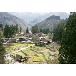 Sake, Ratgeber von Yoshiko Ueno-Müller