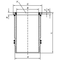 Zylinderlaufbuchse MAHLE 005 WN 09 01