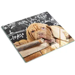 GLASPLATTE 60x52 cm Buch "Hundebisse"
