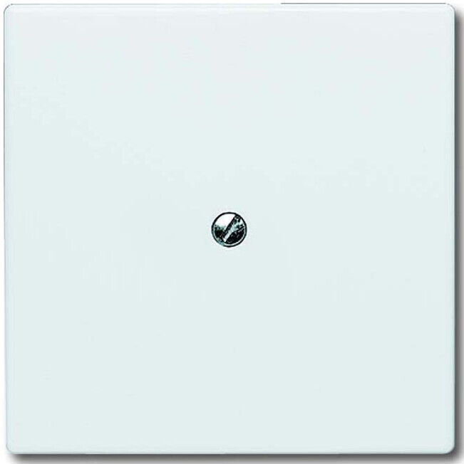 Busch-Jaeger Rosace aveugle blanche avec bague de support 2138-32 (2CKA001710A2264)