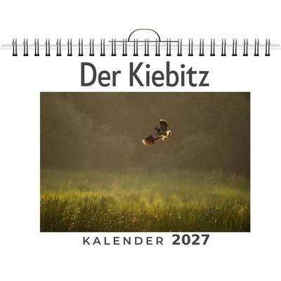 Der Kiebitz