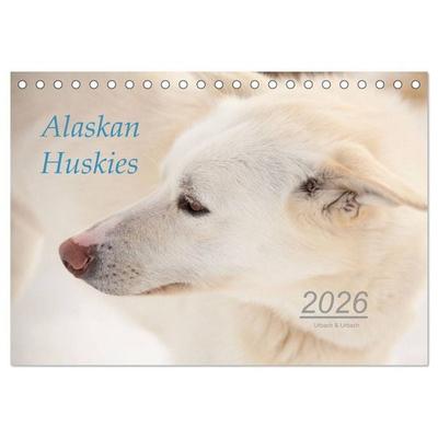 Alaskan Huskies (Tischkalender 2026 DIN A5 quer), CALVENDO Monatskalender
