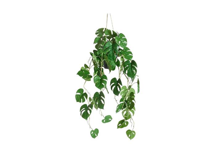 Kunstblume BOTANIC-HAUS Philidrendron hängend , grün, H:86cm Ø:37cm, Kunststoff, Kunstpflanzen, Kunstblume