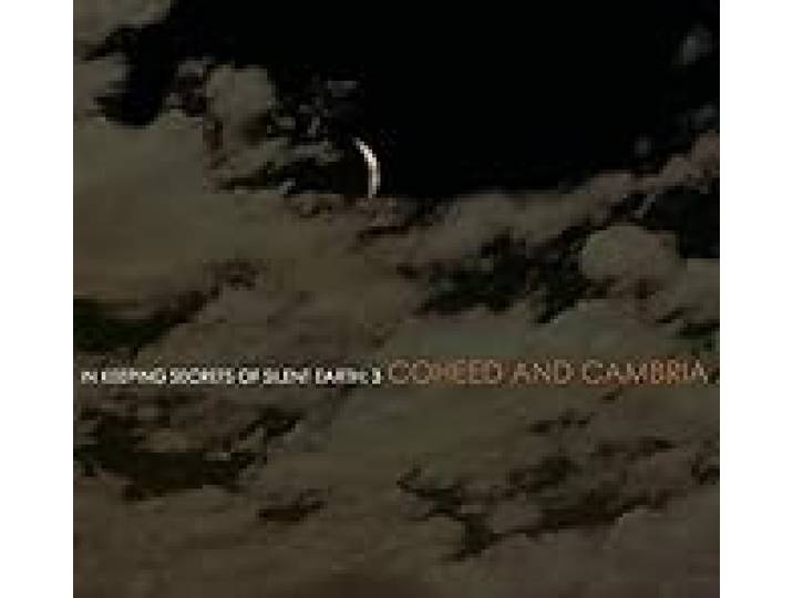 In Keeping Secrets of Silent Earth: 3 [Vinyl LP]