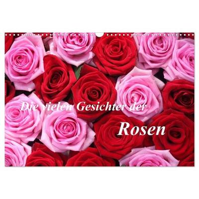 Die vielen Gesichter der Rosen (Wandkalender 2027 DIN A3 quer), CALVENDO Monatskalender