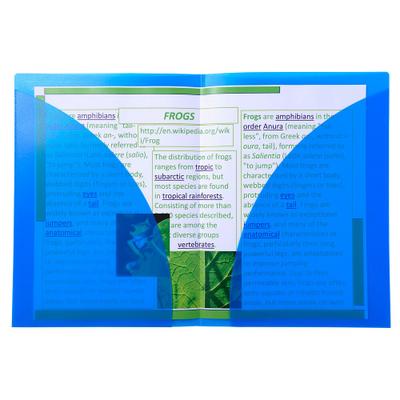 Exacompta 3962E 20x Präsentationsmappe mit doppelter Innentasche aus PP 400µ, für Format DIN A4 - Blau