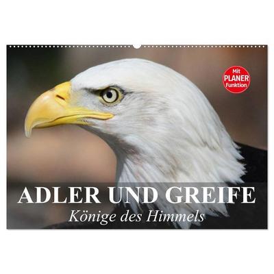 Adler und Greife. Könige des Himmels (Wandkalender 2026 DIN A2 quer), CALVENDO Monatskalender