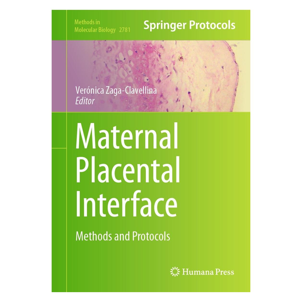 Springer Maternal Placental Interface (Englisch, Hardcover, Verónica Zaga-Clavellina) (9781071637456)