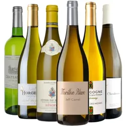 Weinpaket - "Sommergenuss" - Weisswein Bestseller - 6 Fl. - 4.5L