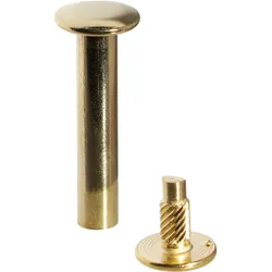 100 Buchschrauben mit Einpresskopf, vermessingt 25 mm, Metall, gold