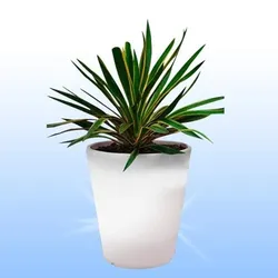 Solarlicht Pflanzkübel Topf Blumentopf 28cm Kübel Solartopf Blumenkübel Blumen Weiß 28