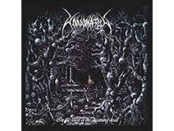 In the Forest of the Dreaming Dead (Re-Issue 2021)