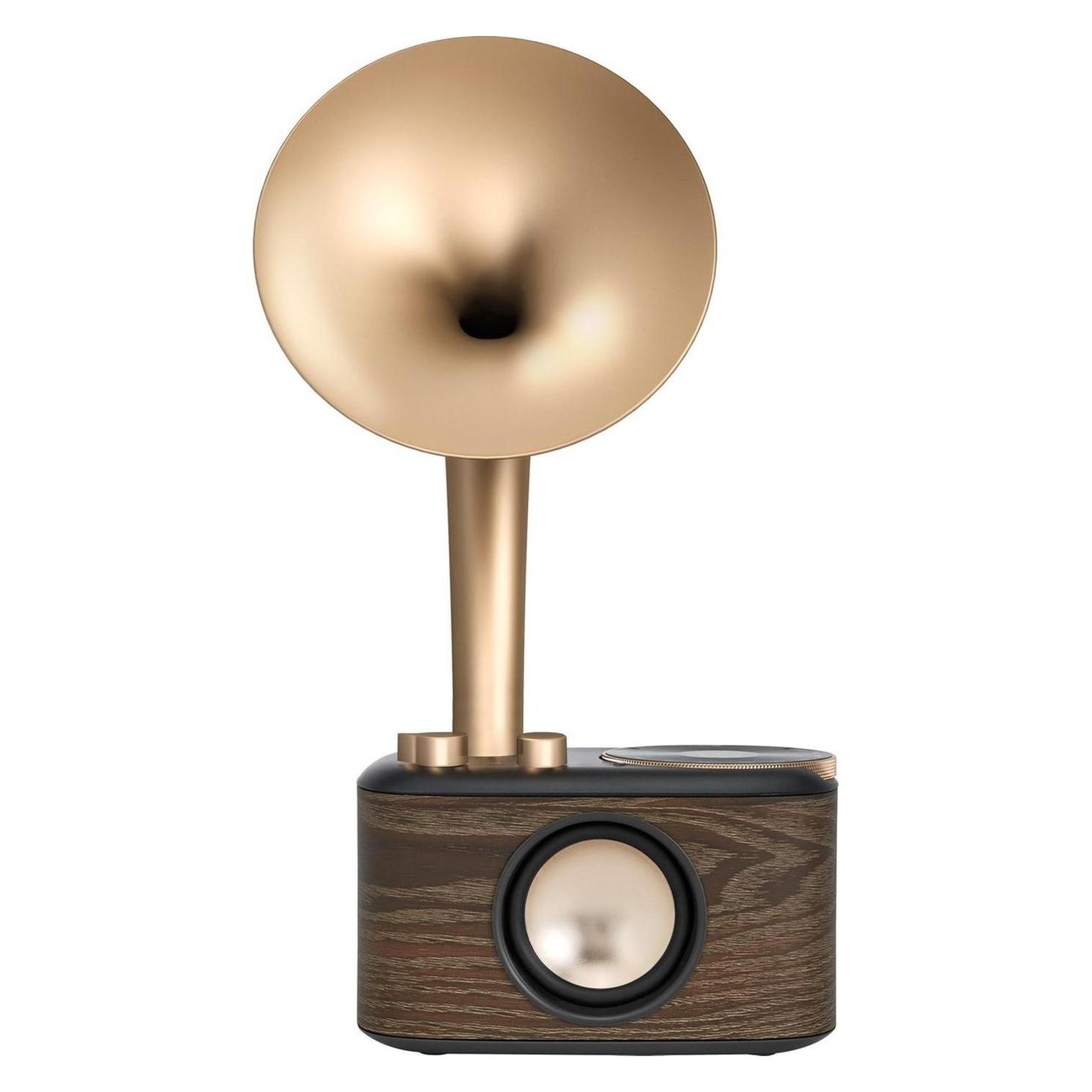 Sangean WR-45X Gold Radio VHF (FM) AUX, Bluetooth Oplaadbaar Zwart, Goud (FM, Bluetooth) (A500435)