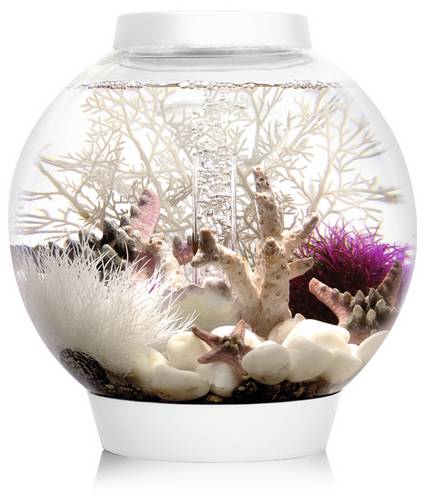 Oase 72001 biOrb CLASSIC 15 LED weiß Aquarium EEK: G (A - G) 15l mit LED-Beleuchtung