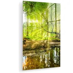 ACRYLGLASBILD Wald - Landschaft - Wasser - Bäume - Sonne - Grün - Natur Wandbild 60x90 cm