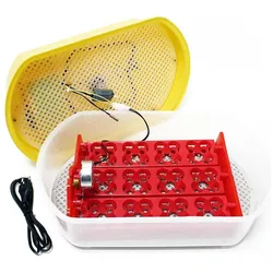 Wiltec Vollautomatische Brutmaschine, Terrarium