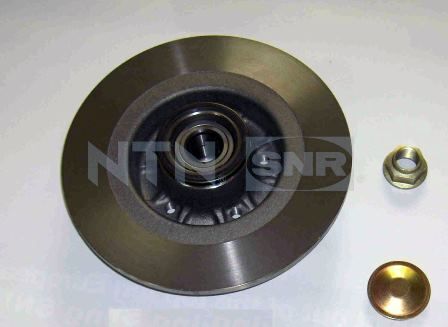 Snr Bremsscheibe Kf15583u Hinterachse Voll 300mm 11mm Für Renault