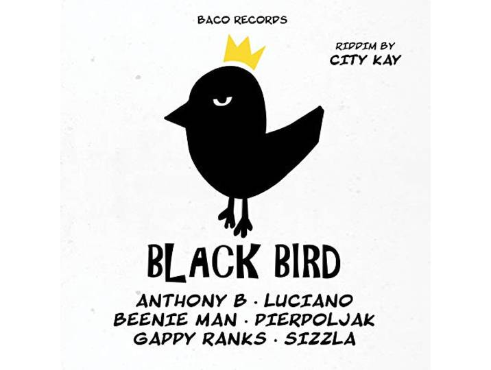Black Bird Riddim By City Kay