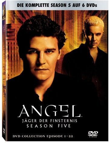 David Boreanaz - Angel - Jäger der Finsternis: Die komplette Season 5 (6 DVDs) - Preis vom 11.10.2026 03:10:56 h
