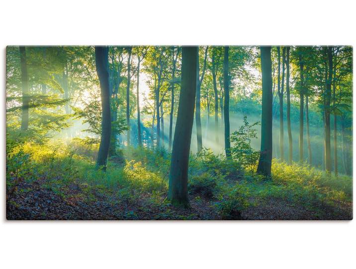 Leinwandbild ARTLAND Wald Panorama , grün (farbe bild(er): grün), B:100cm H:50cm, Bilder, Leinwandbild, auf Holzrahmen gespannt