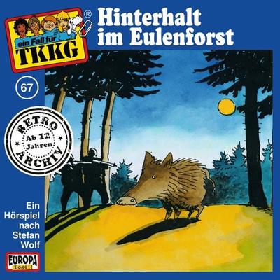TKKG - Folge 67: Hinterhalt im Eulenforst - H.G. Francis,Stefan Wolf, Audio, 4064066628918