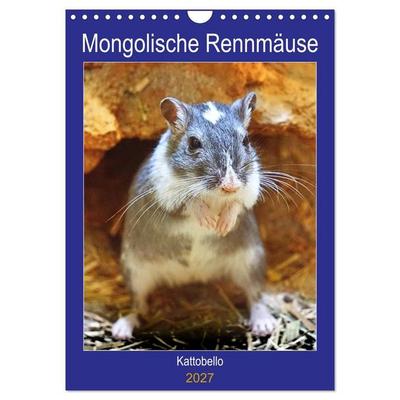 Mongolische Rennmäuse (Wandkalender 2027 DIN A4 hoch), CALVENDO Monatskalender