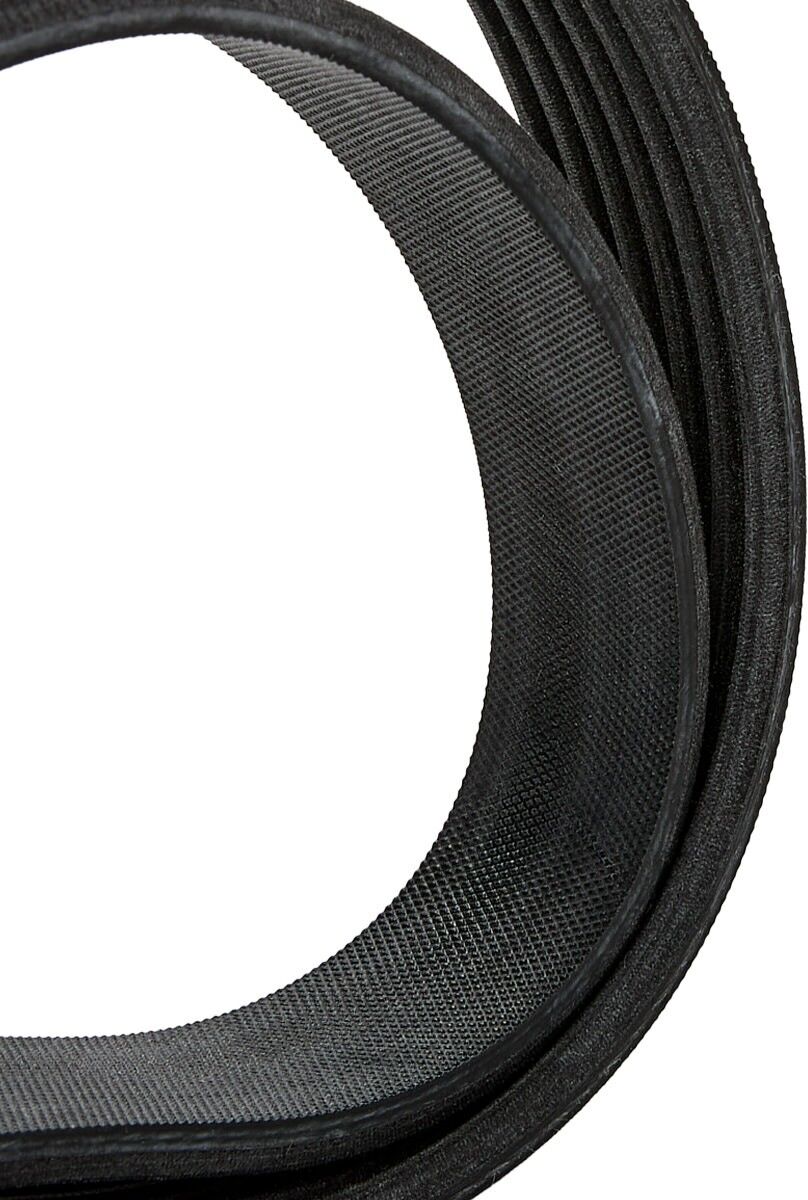 SKF VKMV 6PK1555 Serpentine belt