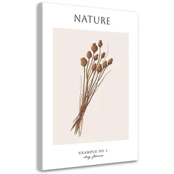 WANDBILD trockene blume natur