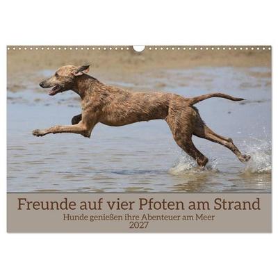 Freunde auf vier Pfoten am Strand (Wandkalender 2027 DIN A3 quer), CALVENDO Monatskalender