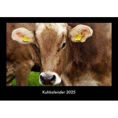 Kuhkalender 2025 Fotokalender DIN A3