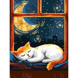 Malen nach Zahlen "Schlafende Katze", 30 x 40 cm