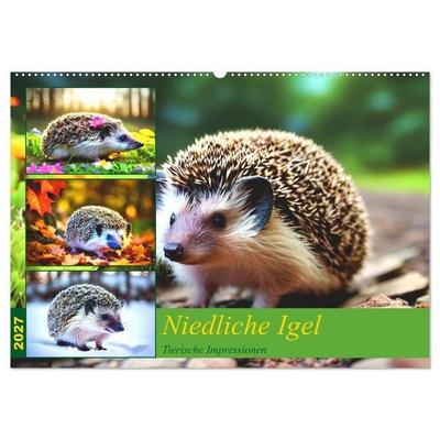 Niedliche Igel (Wandkalender 2027 DIN A2 quer), CALVENDO Monatskalender