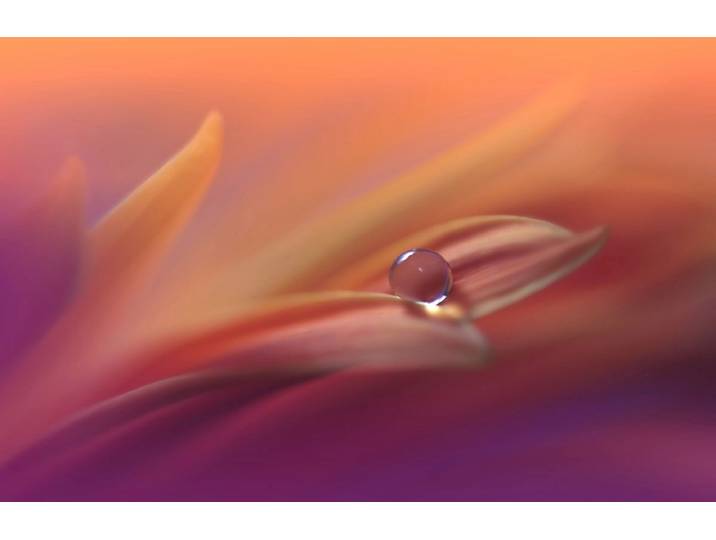 Papermoon Zen Wassertropfen mit Blume Makro