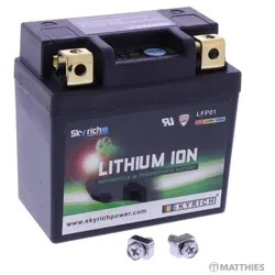 Skyrich LiFePO4 Batterie wartungsfrei, LiFePO4 Batterie LFP01