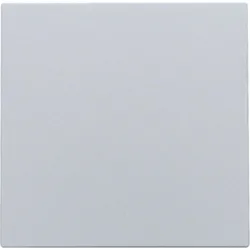 Niko Züblin 121-76901 Blindabdeckung, Farbausführung: sterling coated. 12176901