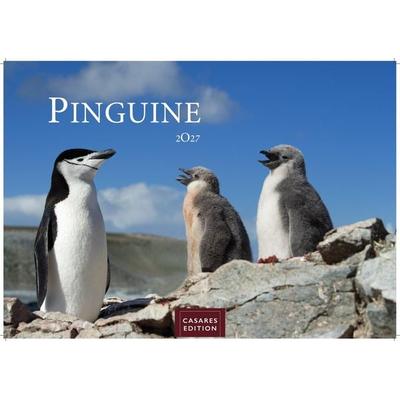 Pinguine Kalender 2027 – Wandkalender | Fotokalender Tierkalender 24x35cm | . mit niedlichen Pinguin-Motiven im antarktischen Lebensraum.