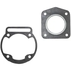 Artein Gaskets, Motorrad Zubehör, Rieju 50 MX 2001+