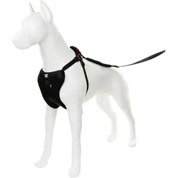 Barry King Hunde-Autogeschirr, Grösse XXL (Hund), Tiertransport