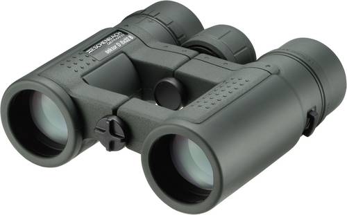 Eschenbach Fernglas Sektor compact+ 8x32 B 8 x 32mm Dunkelgrün 4251832