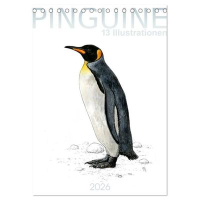 Pinguine - 13 Illustrationen (Tischkalender 2026 DIN A5 hoch), CALVENDO Monatskalender