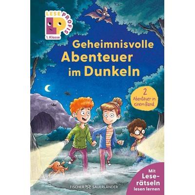 Leseprofis – Geheimnisvolle Abenteuer im Dunkeln, 1. Klasse (Doppelband), Gebundene Ausgabe von Thilo,Alexandra Fischer-Hunold, Fischer Sauerländer,