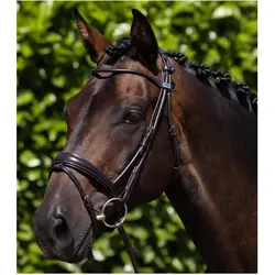 Premier Equine, Zaumzeug