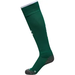 hummel DBU Dänemark Stutzen 2026 6140 - evergreen 43-46