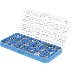 SCH 349856 - Feinsicherungs-Sortiment, 5 x 20 mm, flink, 270er-Pack